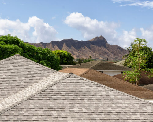 Diamond Head Rooftops Photography