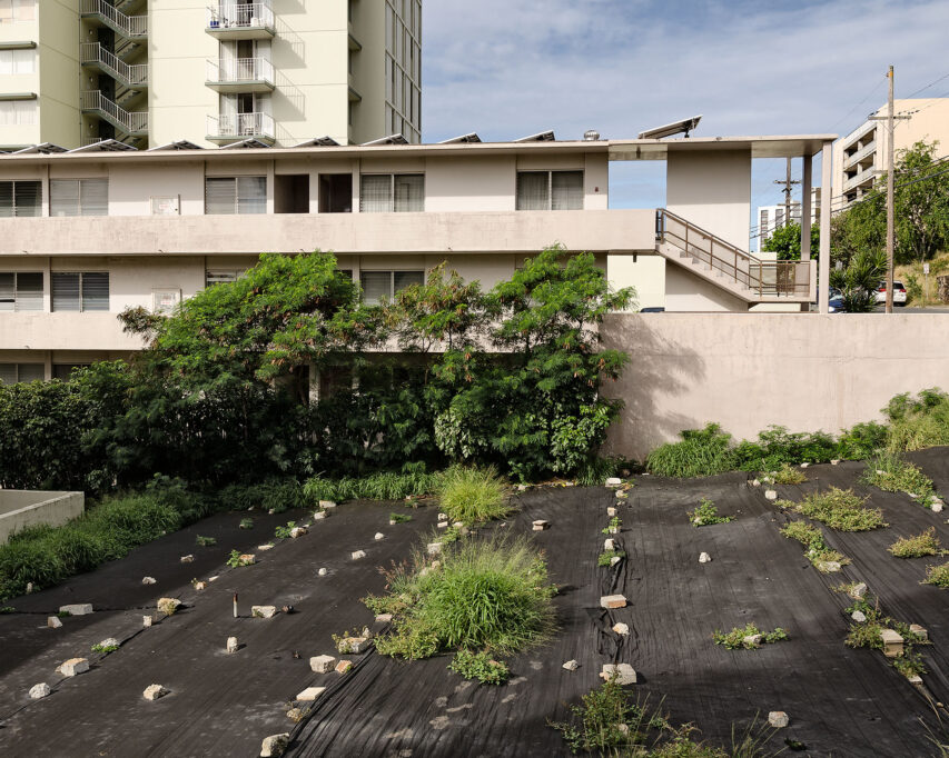 Vancat Lot Honolulu Photography