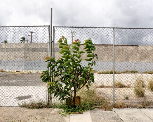 Construction Site Fence Photography